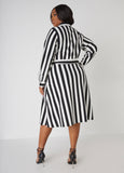 Striped A Line Shirtdress