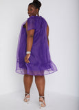 Tie Neck Organza Dress