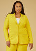 Power Stretch Twill Suit Blazer, Sulphur Spring image number 0