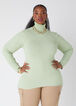 Ribbed Pullover Turtleneck Sweater, SWAMP image number 0