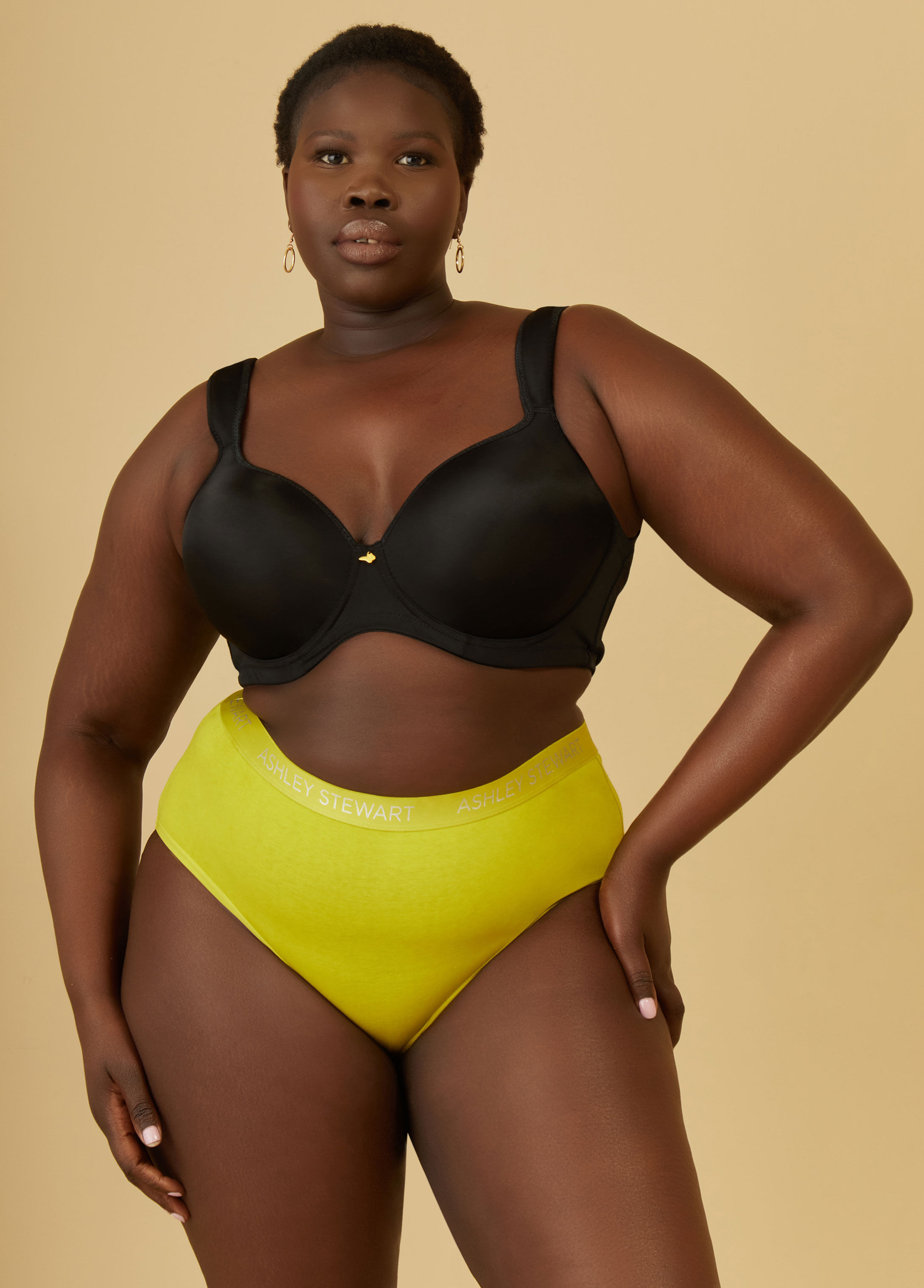 Plus Size Hipster Panties Ashley Stewart