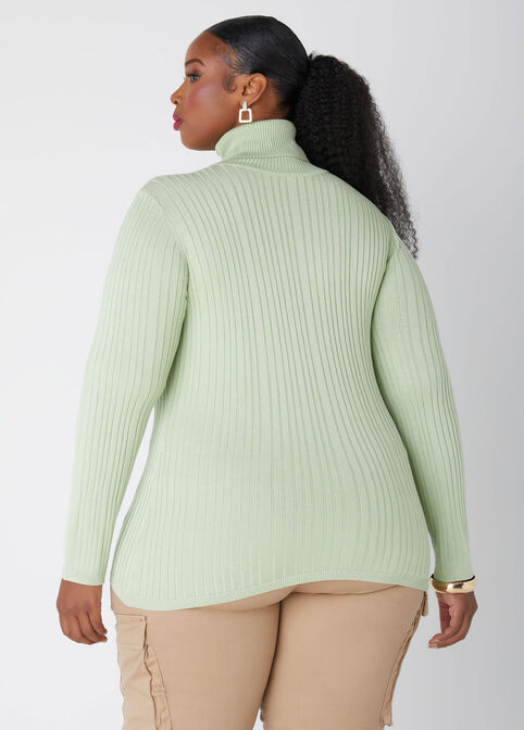 Ribbed Pullover Turtleneck Sweater, SWAMP image number 1