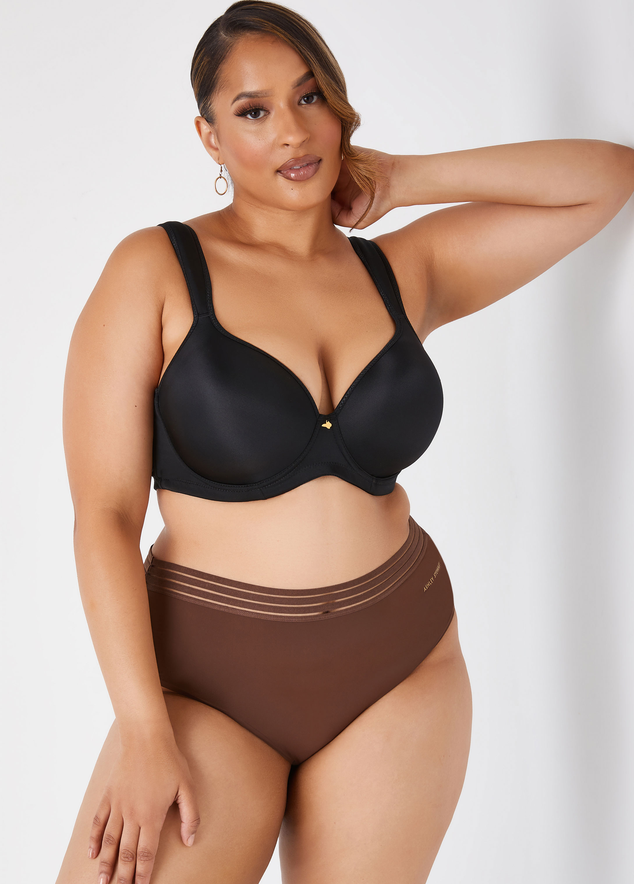 Plus Size Microfiber Sheer Waist Briefs, BROWN, 14/16 - Ashley Stewart